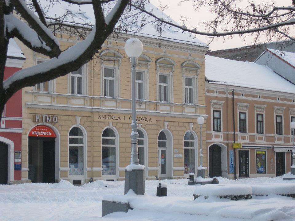 FranGalovicLibrary building