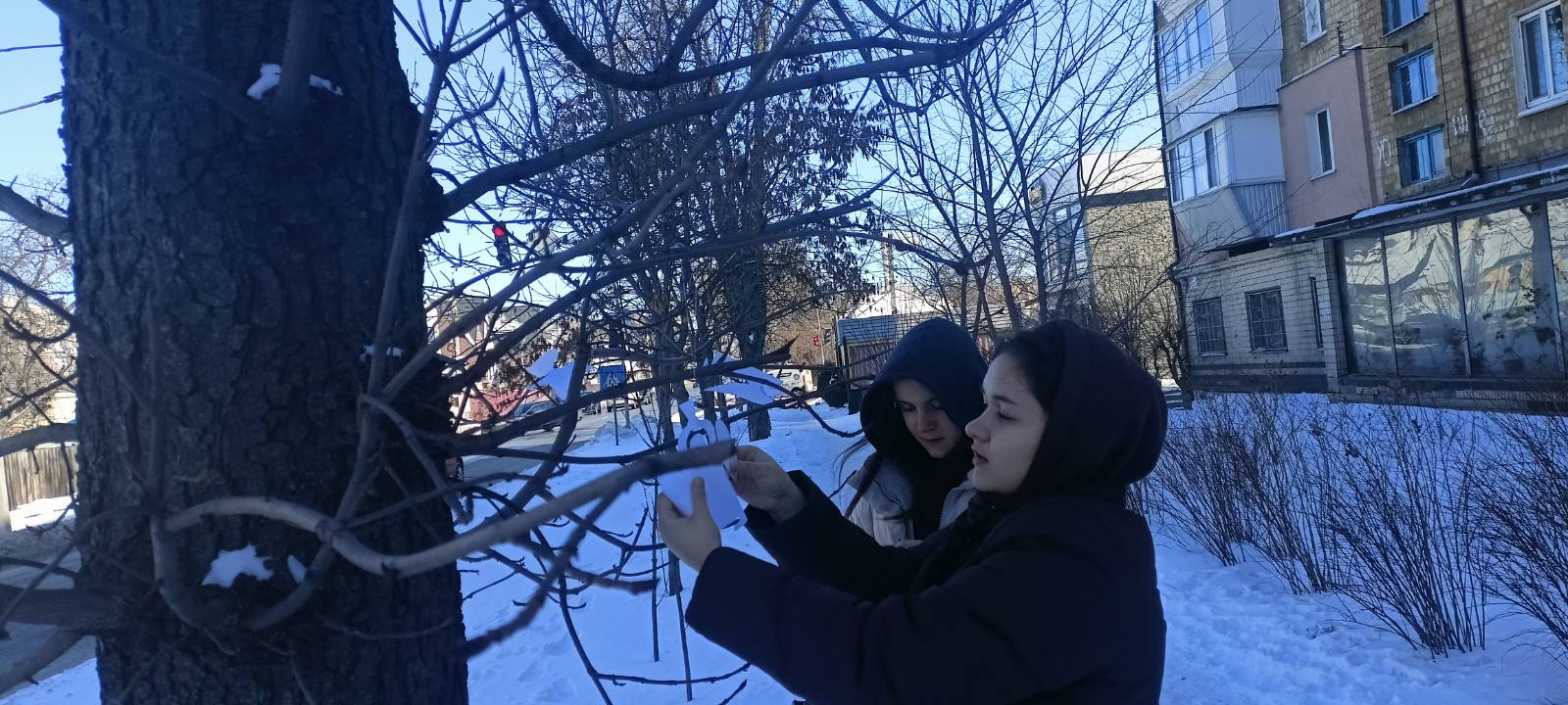 Peace and community from Brovary Town Public Library